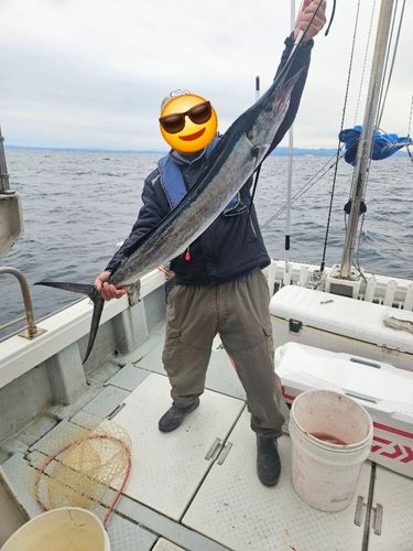 バショウカジキの釣果