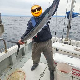 バショウカジキ