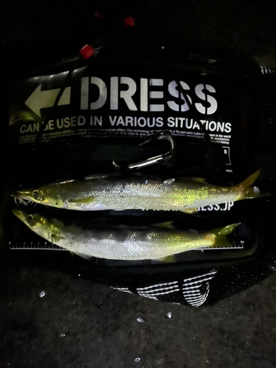 YAMAGA Blanks カリスタ TZ ナノの最安値・インプレ・釣果