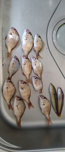 平磯海づり公園