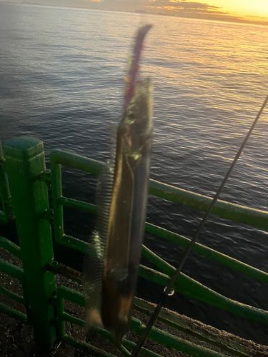海辺つり公園