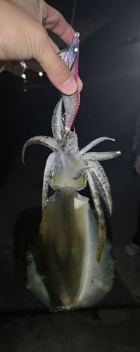 アジュール舞子