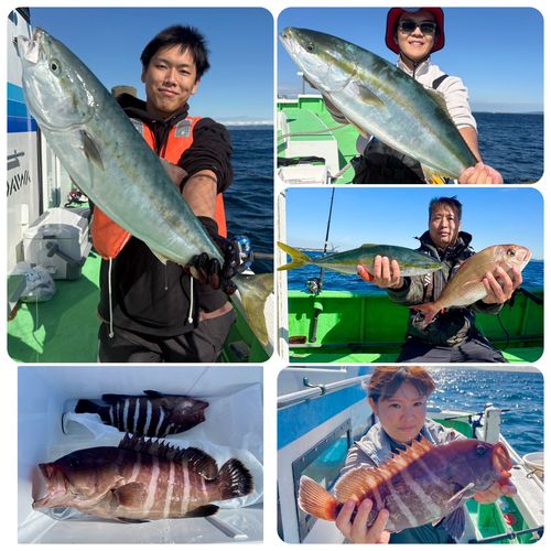 ワラサの釣果