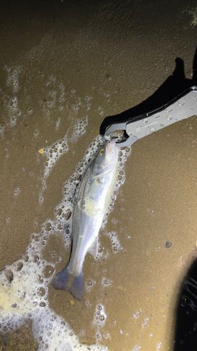 十三湖