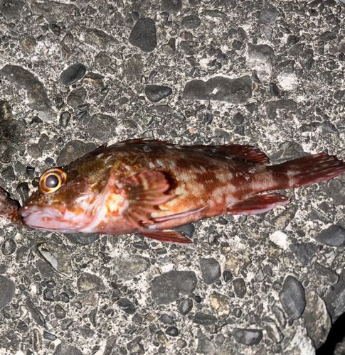 用宗広野海岸公園