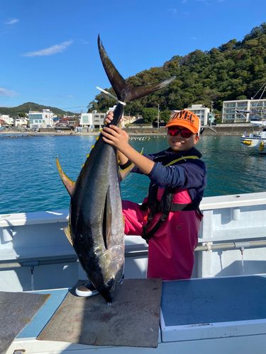 キハダマグロの釣果
