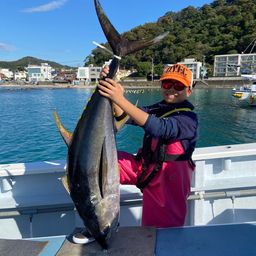 キハダマグロ