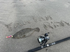 ソゲの釣果