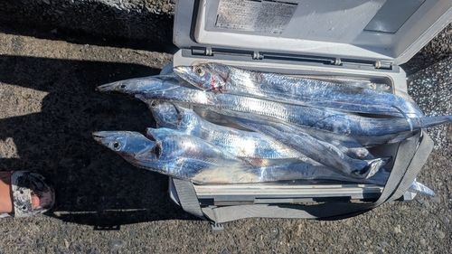 駿河湾