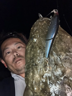 マゴチの釣果