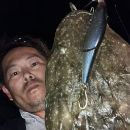 マゴチ