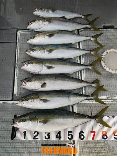 紀伊水道