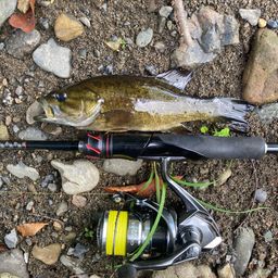 スモールマウスバス