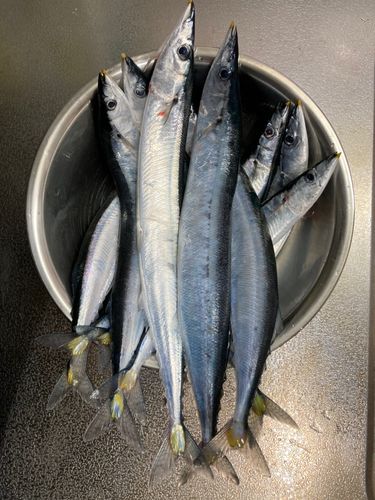 網走港