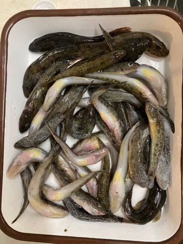 一色さかな広場前