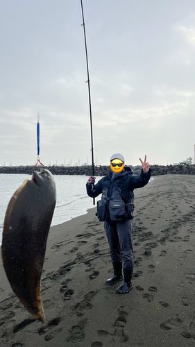茅ヶ崎海岸