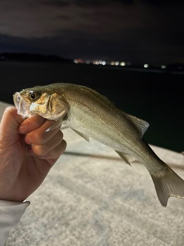 燧灘