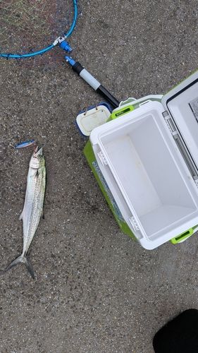 福間漁港海浜公園