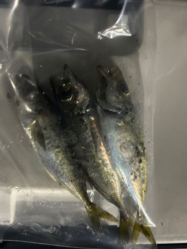 波崎新港