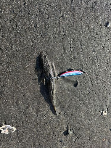江ノ島