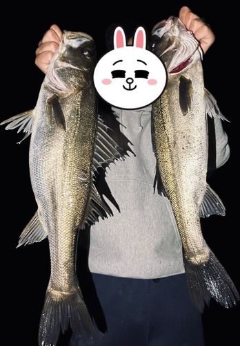 宍道湖