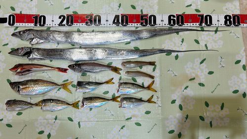 本牧海づり施設