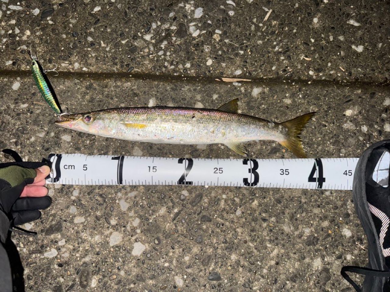 SHIMANO 23ムーンショット BS S70MHの最安値・インプレ・釣果 | 本音の