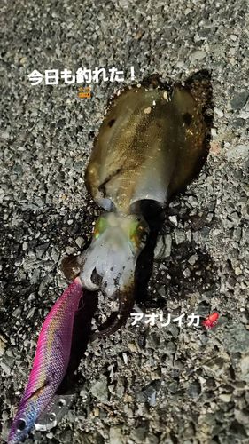 福の浦漁港