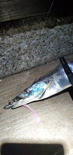 海辺つり公園