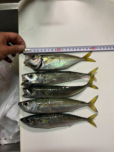 鹿島灘