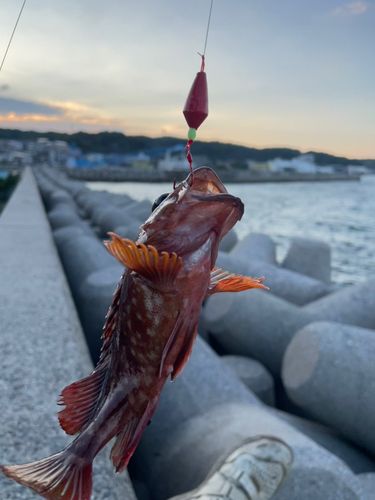 知多湾