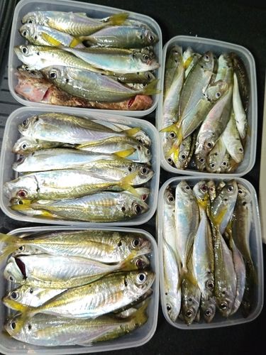 的矢湾