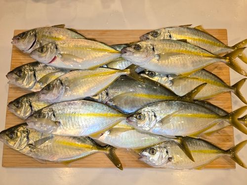 鹿島港魚釣園