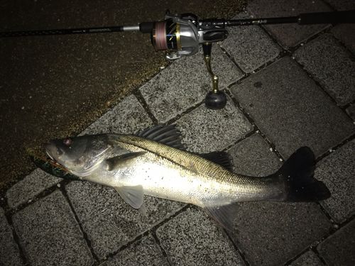 有明西ふ頭公園
