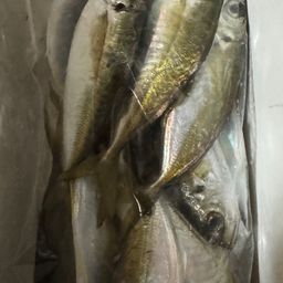 アジ