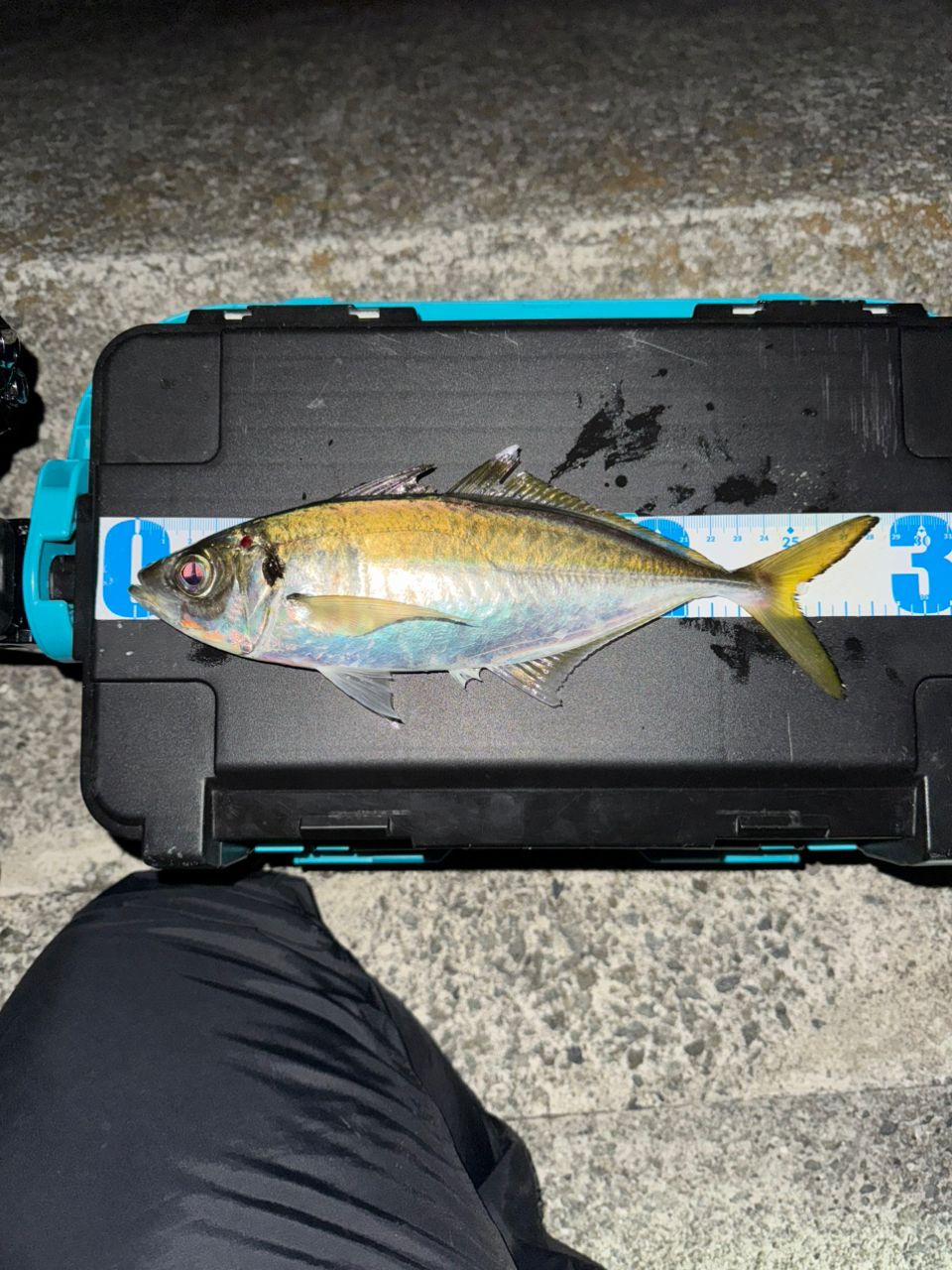 SHIMANO 23ソアレ BB アジング S54SUL-Sの最安値・インプレ