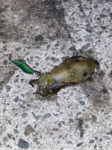 七類湾