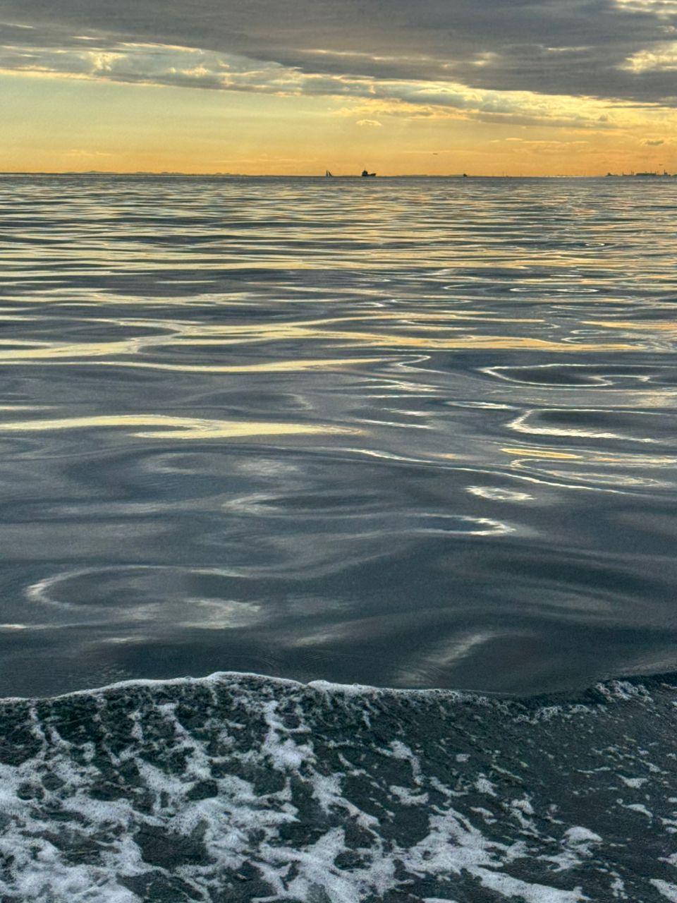 若造りジャパンさんの釣果 2枚目の画像
