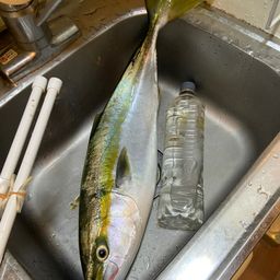 イナダ