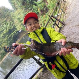 ブルックトラウト