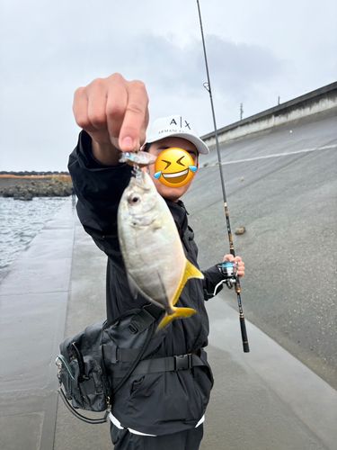 相模川下流