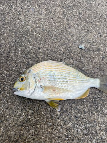 伊良湖港