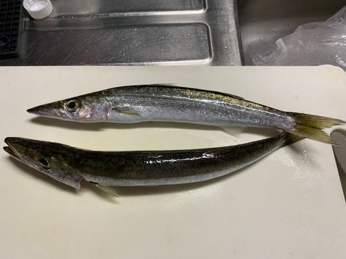 東伊豆