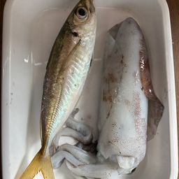 アジ