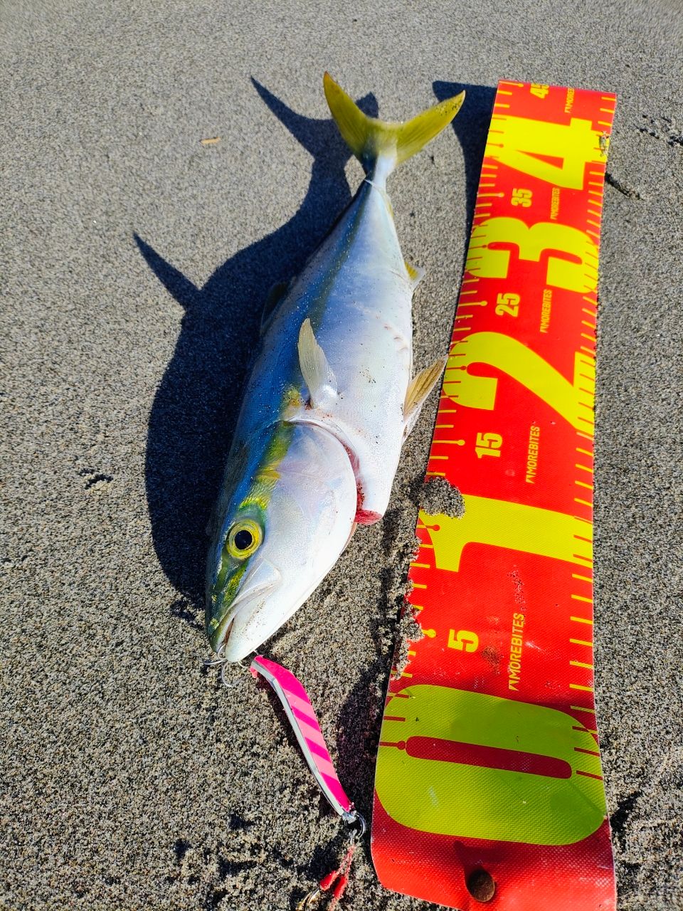 SHIMANO 23ディアルーナ S90MLの最安値・インプレ・釣果 | 本音