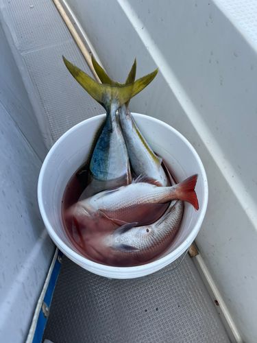 青森湾