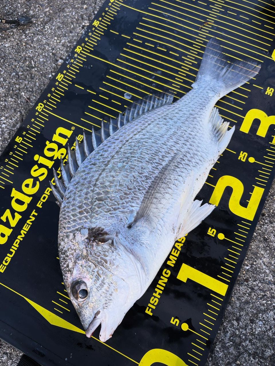 【新品未使用】20コルトスナイパーXR S96MH シマノ シマノ コルトスナイパーXR S96MH (ロッド・釣竿) 価格比較 - 価格.com