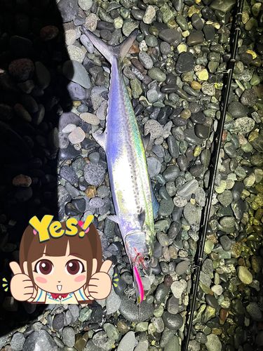 国府津海岸