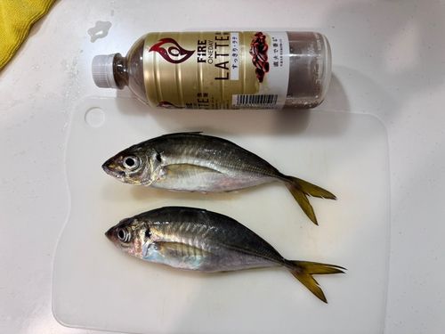 本牧海づり施設
