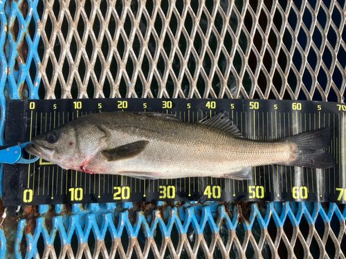 オリジナルメーカー海釣り公園